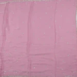 Soft Pink Glass Tissue Saree (2)